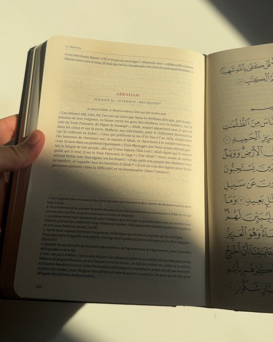 Quel Coran choisir : rigide, souple, tajwid, arabe–français ? Guide complet pour bien choisir son musha